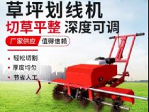 點(diǎn)擊查看詳細(xì)信息<br>標(biāo)題：草皮劃線(xiàn)機(jī) 閱讀次數(shù)：2752